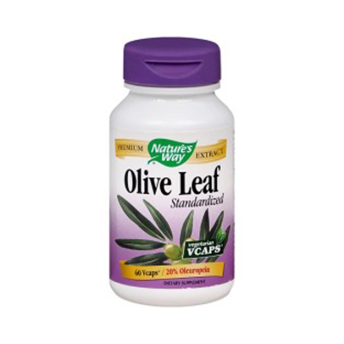 Nature's Way Olive Leaf Standardized - 60 Vcaps
