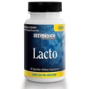 Enzymedica Lacto - 90 Capsules